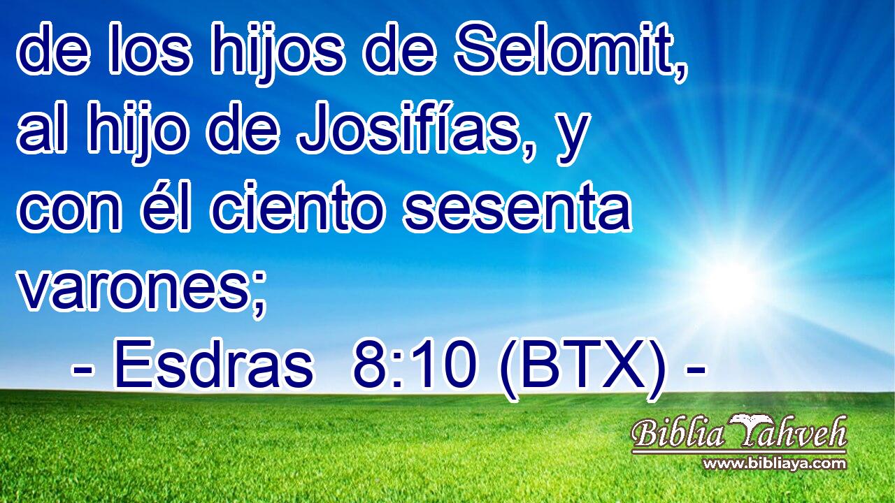 de los hijos de Selomit, al hijo de Josifías, y con él ciento sesenta varones;