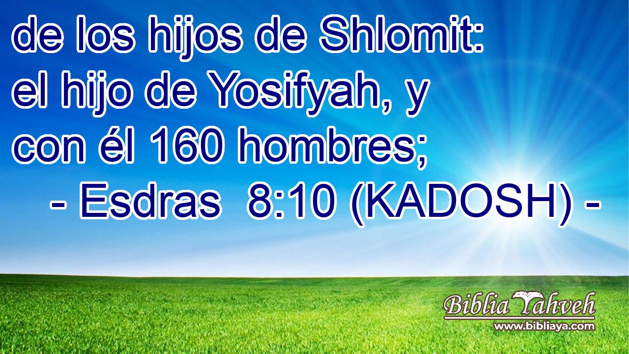  de los hijos de Shlomit: el hijo de Yosifyah, y con él 160 hombres; 
