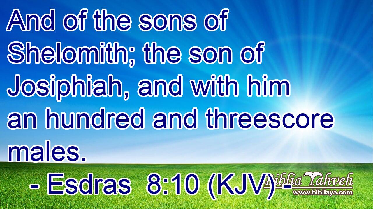 And of the sons of Shelomith; the son of Josiphiah, and with him an hundred and threescore males.