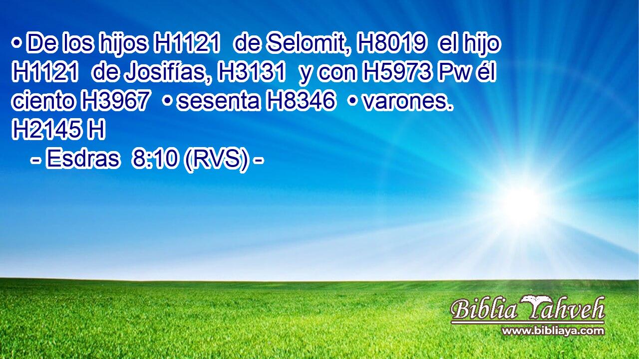 • De los hijos H1121  de Selomit, H8019  el hijo H1121  de Josifías, H3131  y con H5973 Pw él ciento H3967  • sesenta H8346  • varones. H2145 H 