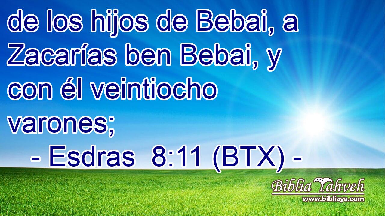 de los hijos de Bebai, a Zacarías ben Bebai, y con él veintiocho varones;
