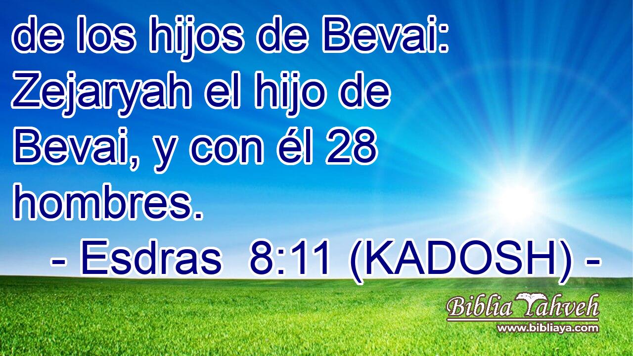  de los hijos de Bevai: Zejaryah el hijo de Bevai, y con él 28 hombres. 