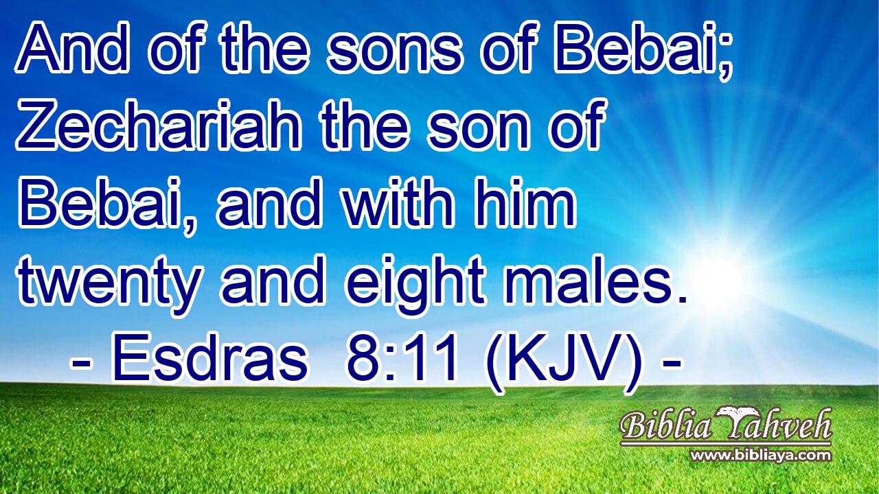 And of the sons of Bebai; Zechariah the son of Bebai, and with him twenty and eight males.