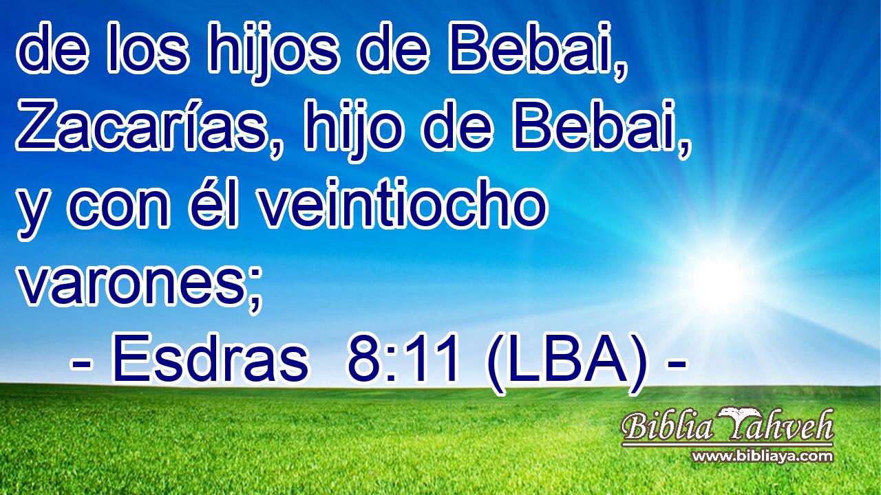 de los hijos de Bebai, Zacarías, hijo de Bebai, y con él veintiocho varones;