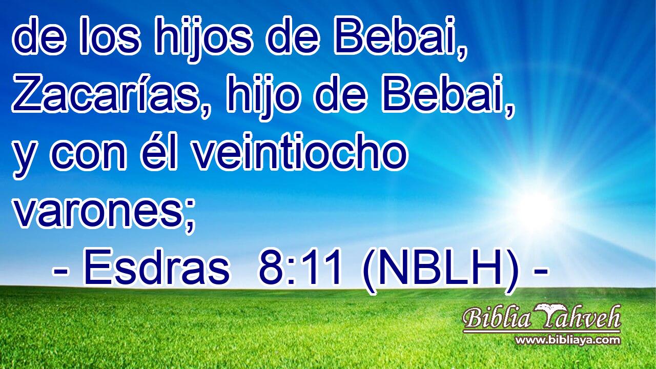  de los hijos de Bebai, Zacarías, hijo de Bebai, y con él veintiocho varones; 