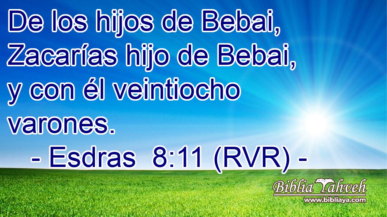 De los hijos de Bebai, Zacarías hijo de Bebai, y con él veintiocho varones.