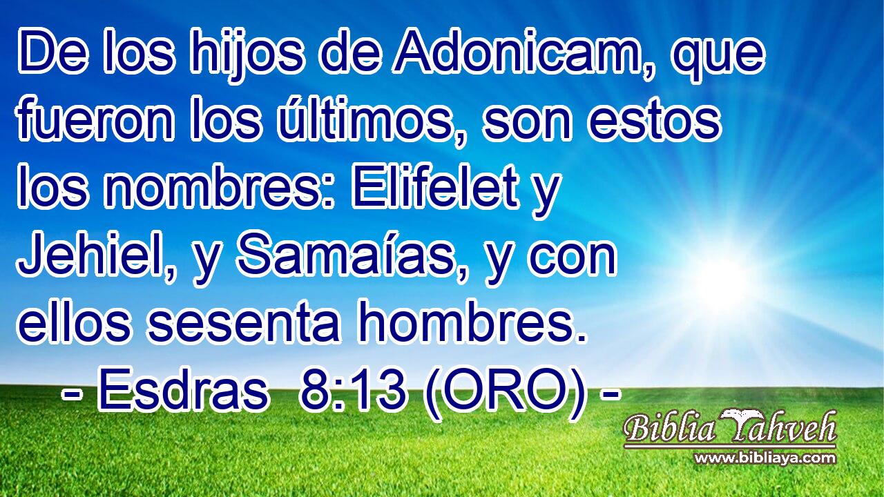  De los hijos de Adonicam, que fueron los últimos, son estos los nombres: Elifelet y Jehiel, y Samaías, y con ellos sesenta hombres. 