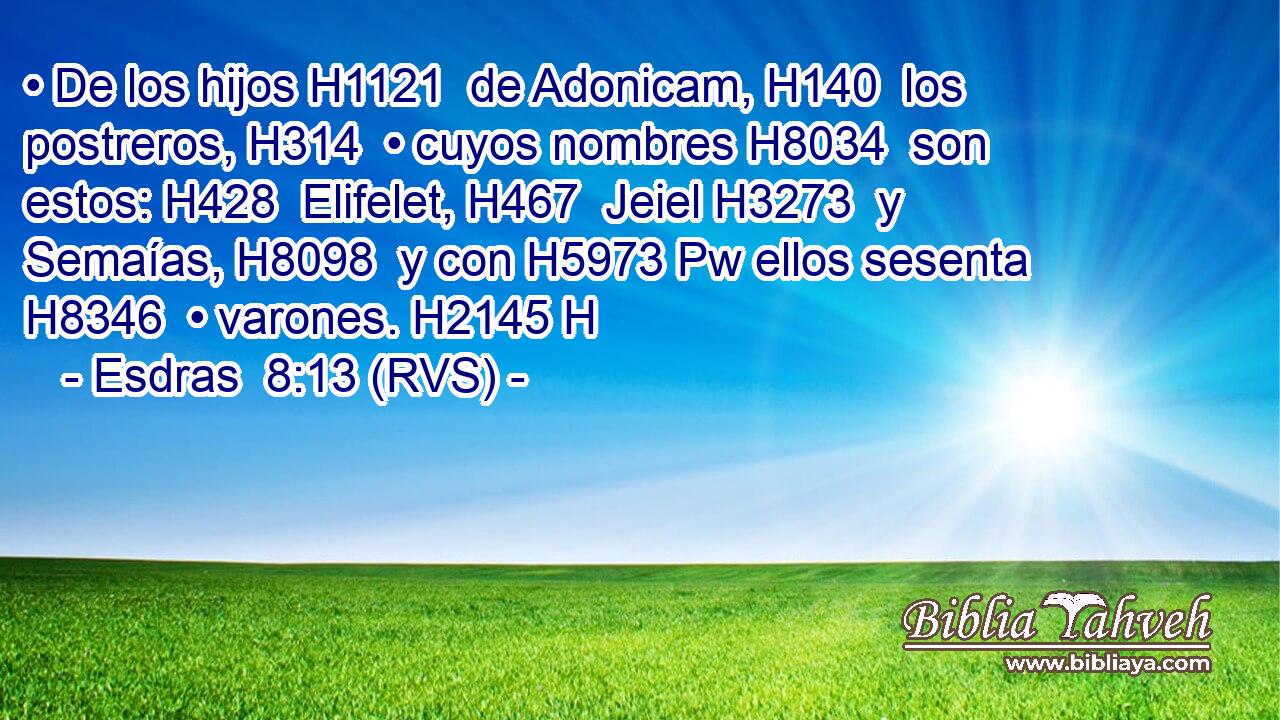 • De los hijos H1121  de Adonicam, H140  los postreros, H314  • cuyos nombres H8034  son estos: H428  Elifelet, H467  Jeiel H3273  y Semaías, H8098  y con H5973 Pw ellos sesenta H8346  • varones. H2145 H 