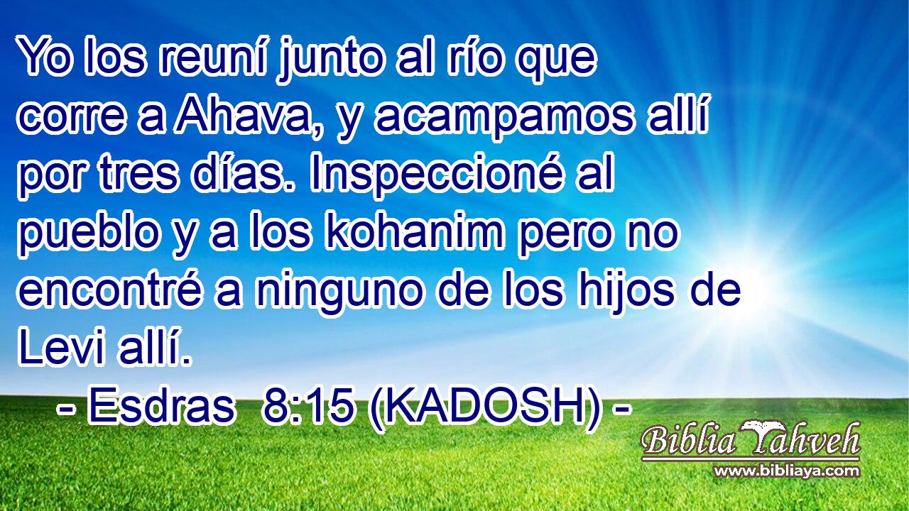  Yo los reuní junto al río que corre a Ahava, y acampamos allí por tres días. Inspeccioné al pueblo y a los kohanim pero no encontré a ninguno de los hijos de Levi allí. 