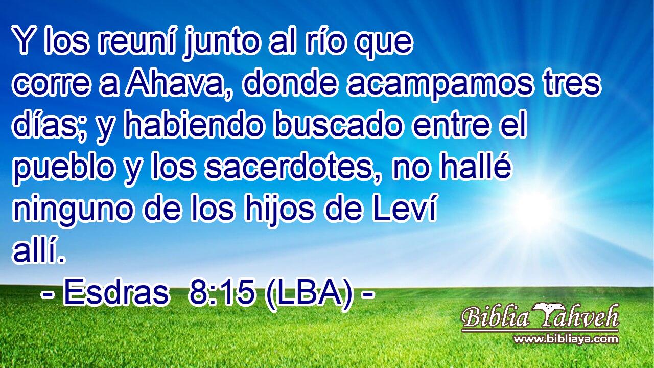 Y los reuní junto al río que corre a Ahava, donde acampamos tres días; y habiendo buscado entre el pueblo y los sacerdotes, no hallé ninguno de los hijos de Leví allí.