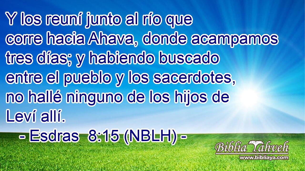  Y los reuní junto al río que corre hacia Ahava, donde acampamos tres días; y habiendo buscado entre el pueblo y los sacerdotes, no hallé ninguno de los hijos de Leví allí. 