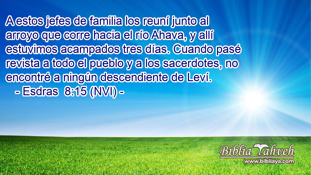  A estos jefes de familia los reuní junto al arroyo que corre hacia el río Ahava, y allí estuvimos acampados tres días. Cuando pasé revista a todo el pueblo y a los sacerdotes, no encontré a ningún descendiente de Leví. 