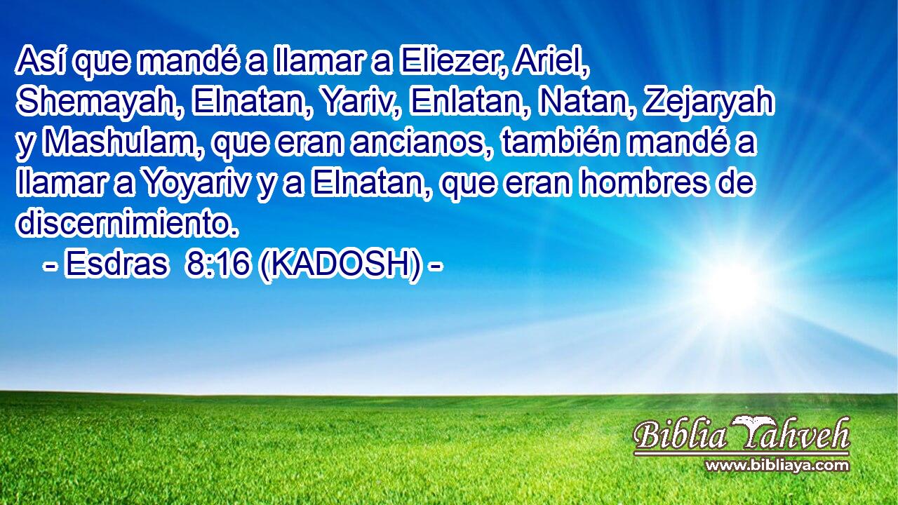  Así que mandé a llamar a Eliezer, Ariel, Shemayah, Elnatan, Yariv, Enlatan, Natan, Zejaryah y Mashulam, que eran ancianos, también mandé a llamar a Yoyariv y a Elnatan, que eran hombres de discernimiento. 