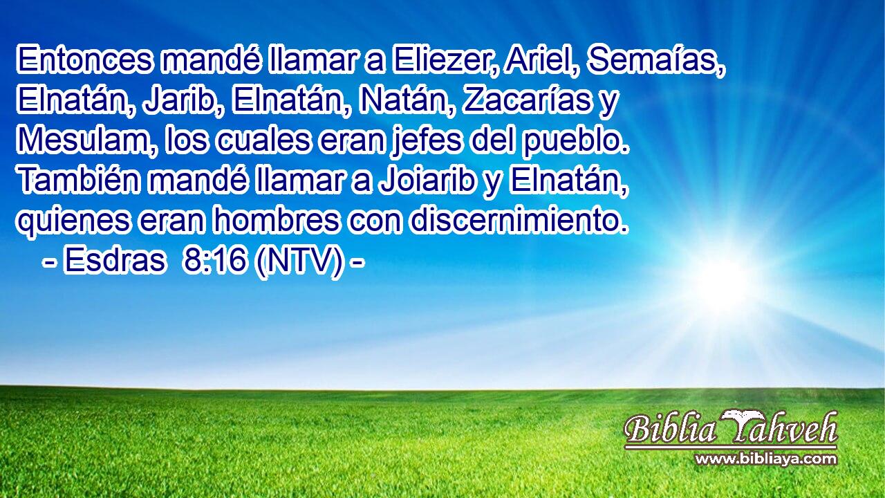 Entonces mandé llamar a Eliezer, Ariel, Semaías, Elnatán, Jarib, Elnatán, Natán, Zacarías y Mesulam, los cuales eran jefes del pueblo. También mandé llamar a Joiarib y Elnatán, quienes eran hombres con discernimiento.