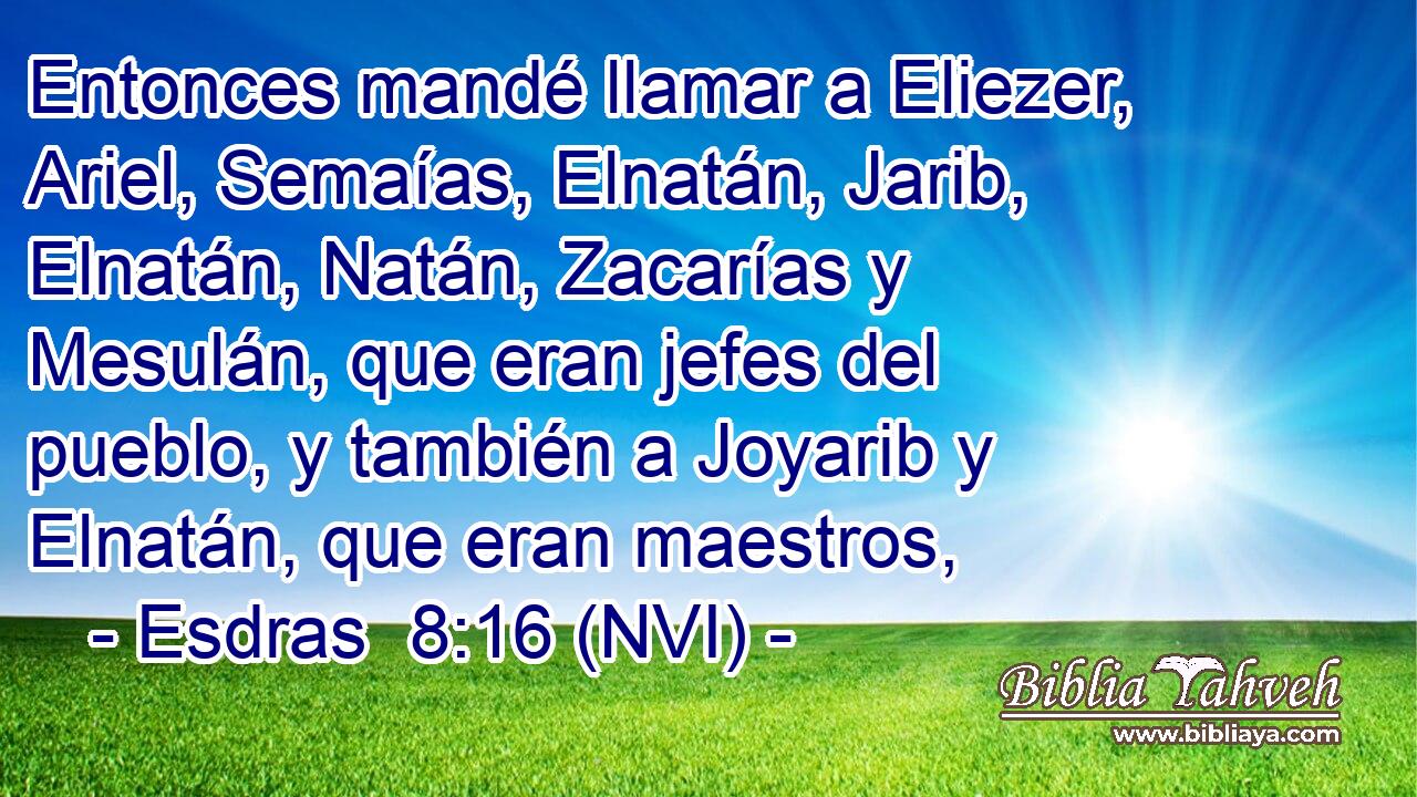  Entonces mandé llamar a Eliezer, Ariel, Semaías, Elnatán, Jarib, Elnatán, Natán, Zacarías y Mesulán, que eran jefes del pueblo, y también a Joyarib y Elnatán, que eran maestros, 
