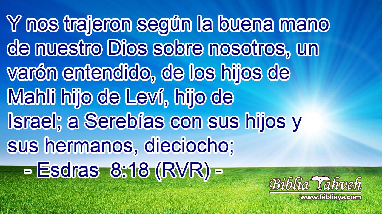 Y nos trajeron según la buena mano de nuestro Dios sobre nosotros, un varón entendido, de los hijos de Mahli hijo de Leví, hijo de Israel; a Serebías con sus hijos y sus hermanos, dieciocho;