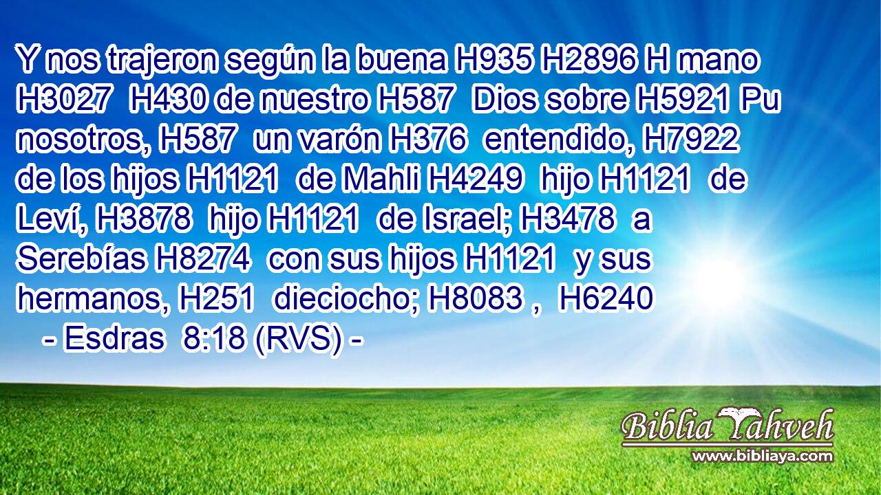 Y nos trajeron según la buena H935 H2896 H mano H3027  H430 de nuestro H587  Dios sobre H5921 Pu nosotros, H587  un varón H376  entendido, H7922  de los hijos H1121  de Mahli H4249  hijo H1121  de Leví, H3878  hijo H1121  de Israel; H3478  a Serebías H8274  con sus hijos H1121  y sus hermanos, H251  dieciocho; H8083 ,  H6240 