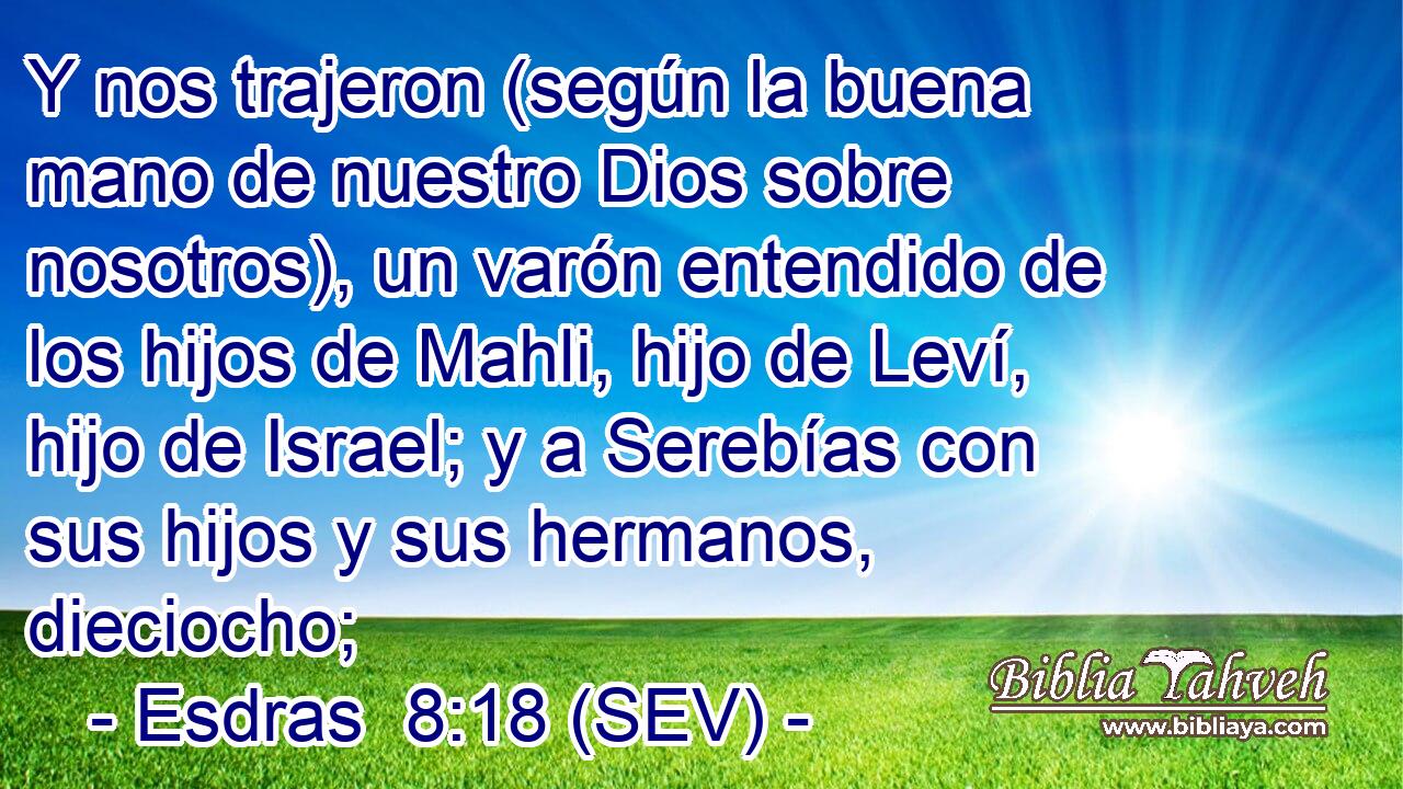 Y nos trajeron (según la buena mano de nuestro Dios sobre nosotros), un varón entendido de los hijos de Mahli, hijo de Leví, hijo de Israel; y a Serebías con sus hijos y sus hermanos, dieciocho;