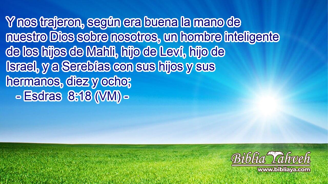  Y nos trajeron, según era buena la mano de nuestro Dios sobre nosotros, un hombre inteligente de los hijos de Mahli, hijo de Leví, hijo de Israel, y a Serebías con sus hijos y sus hermanos, diez y ocho; 