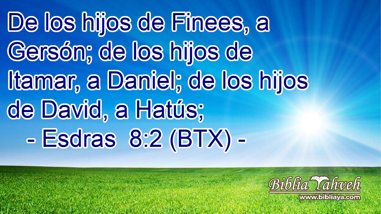 De los hijos de Finees, a Gersón; de los hijos de Itamar, a Daniel; de los hijos de David, a Hatús;