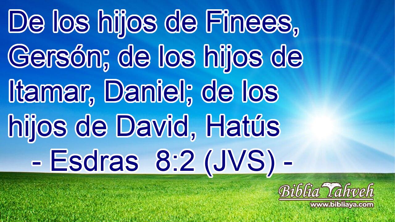 De los hijos de Finees, Gersón; de los hijos de Itamar, Daniel; de los hijos de David, Hatús