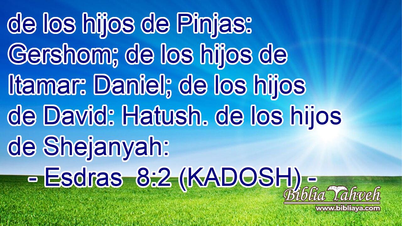  de los hijos de Pinjas: Gershom; de los hijos de Itamar: Daniel; de los hijos de David: Hatush. de los hijos de Shejanyah: 