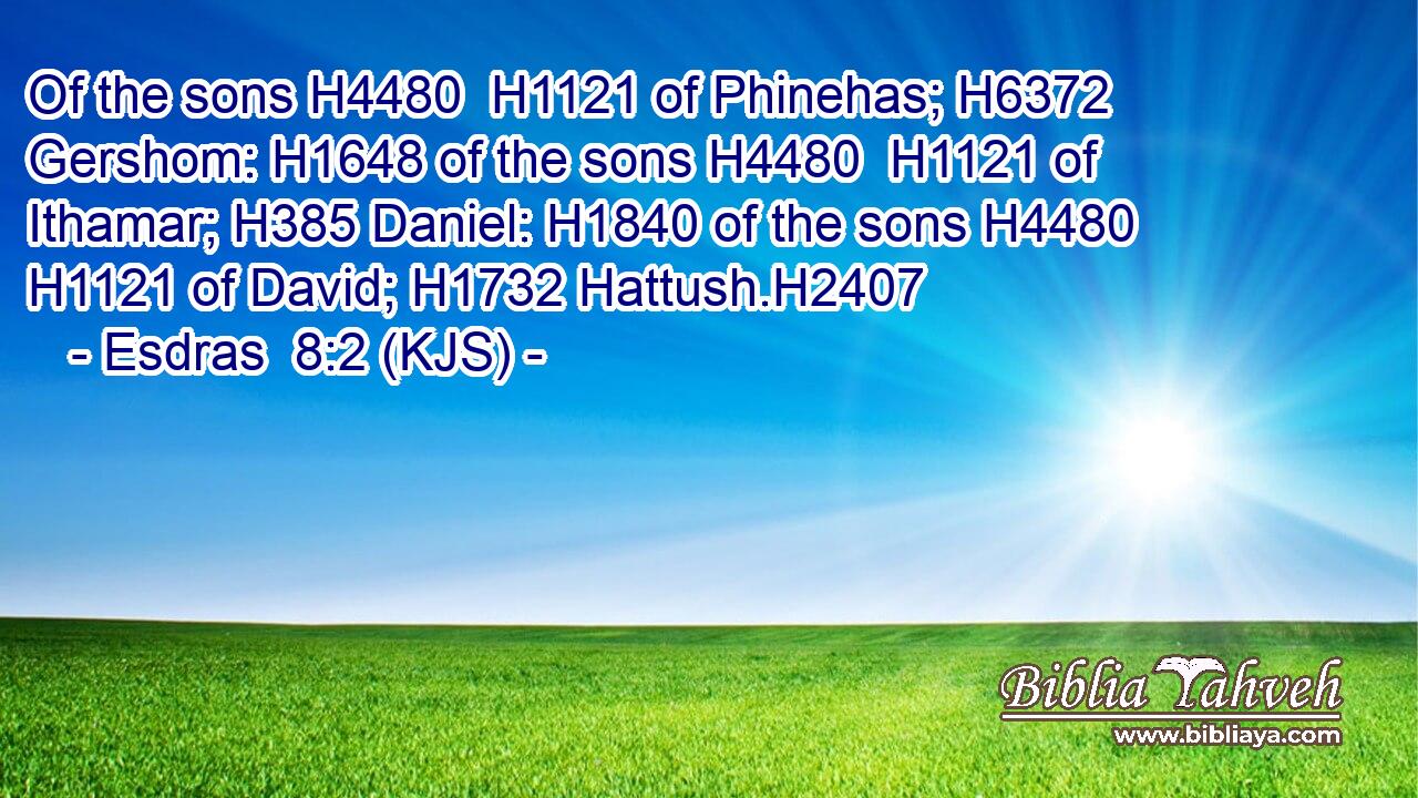 Of the sons H4480  H1121 of Phinehas; H6372 Gershom: H1648 of the sons H4480  H1121 of Ithamar; H385 Daniel: H1840 of the sons H4480  H1121 of David; H1732 Hattush.H2407