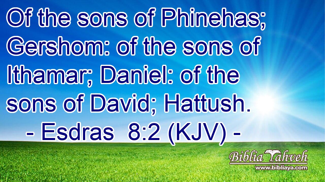 Of the sons of Phinehas; Gershom: of the sons of Ithamar; Daniel: of the sons of David; Hattush.