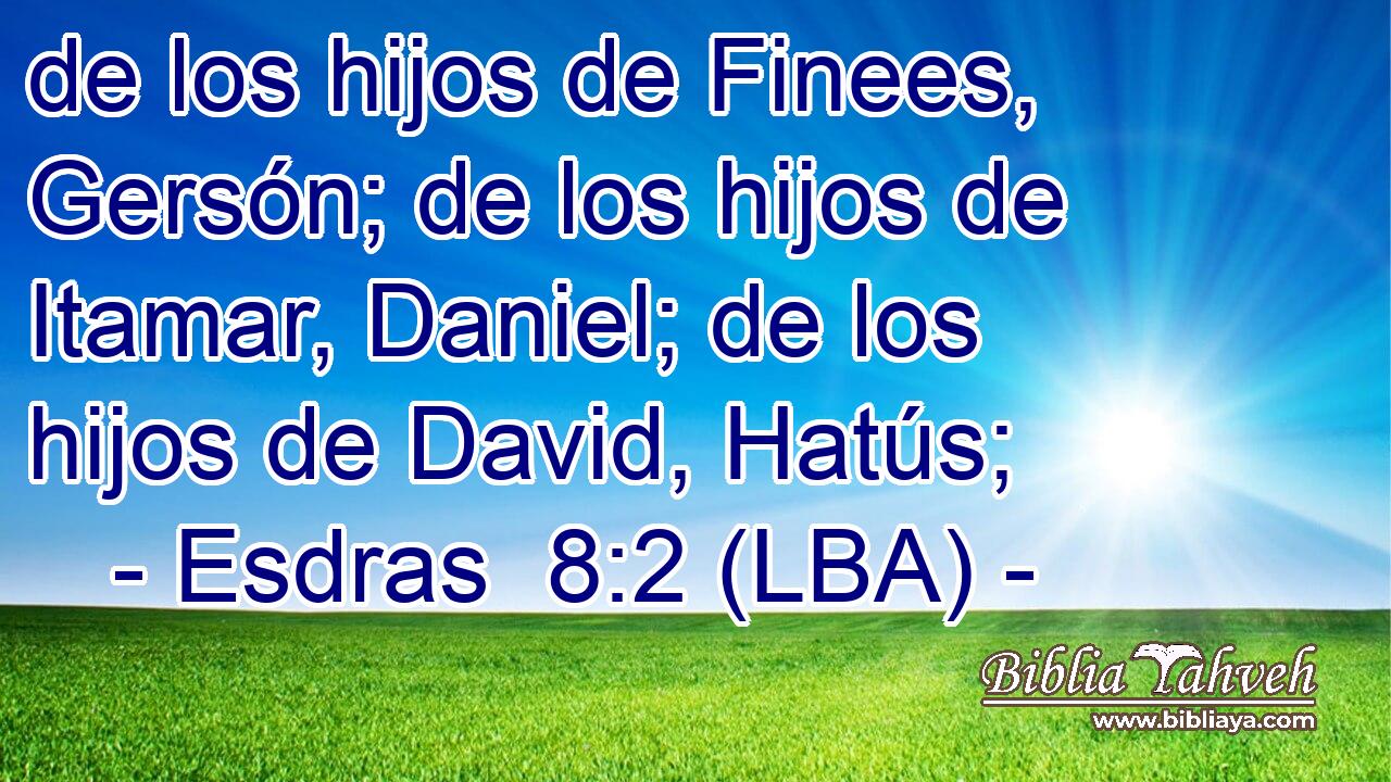 de los hijos de Finees, Gersón; de los hijos de Itamar, Daniel; de los hijos de David, Hatús;