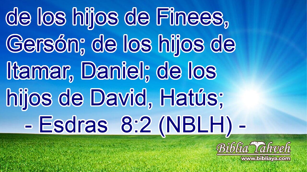  de los hijos de Finees, Gersón; de los hijos de Itamar, Daniel; de los hijos de David, Hatús; 