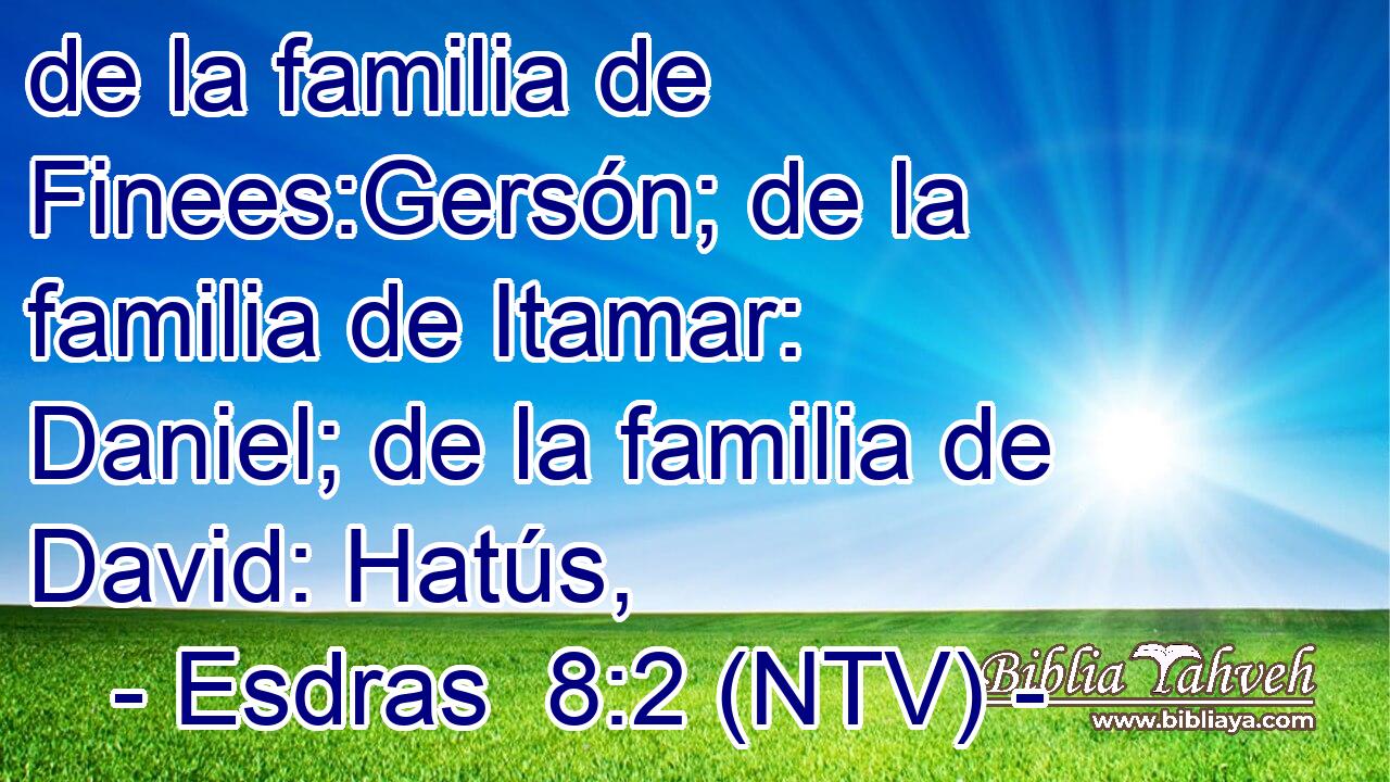de la familia de Finees:Gersón; de la familia de Itamar: Daniel; de la familia de David: Hatús,