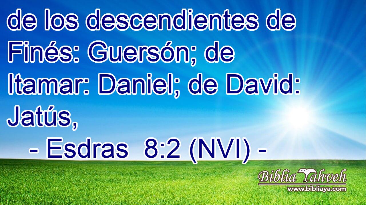  de los descendientes de Finés: Guersón; de Itamar: Daniel; de David: Jatús, 