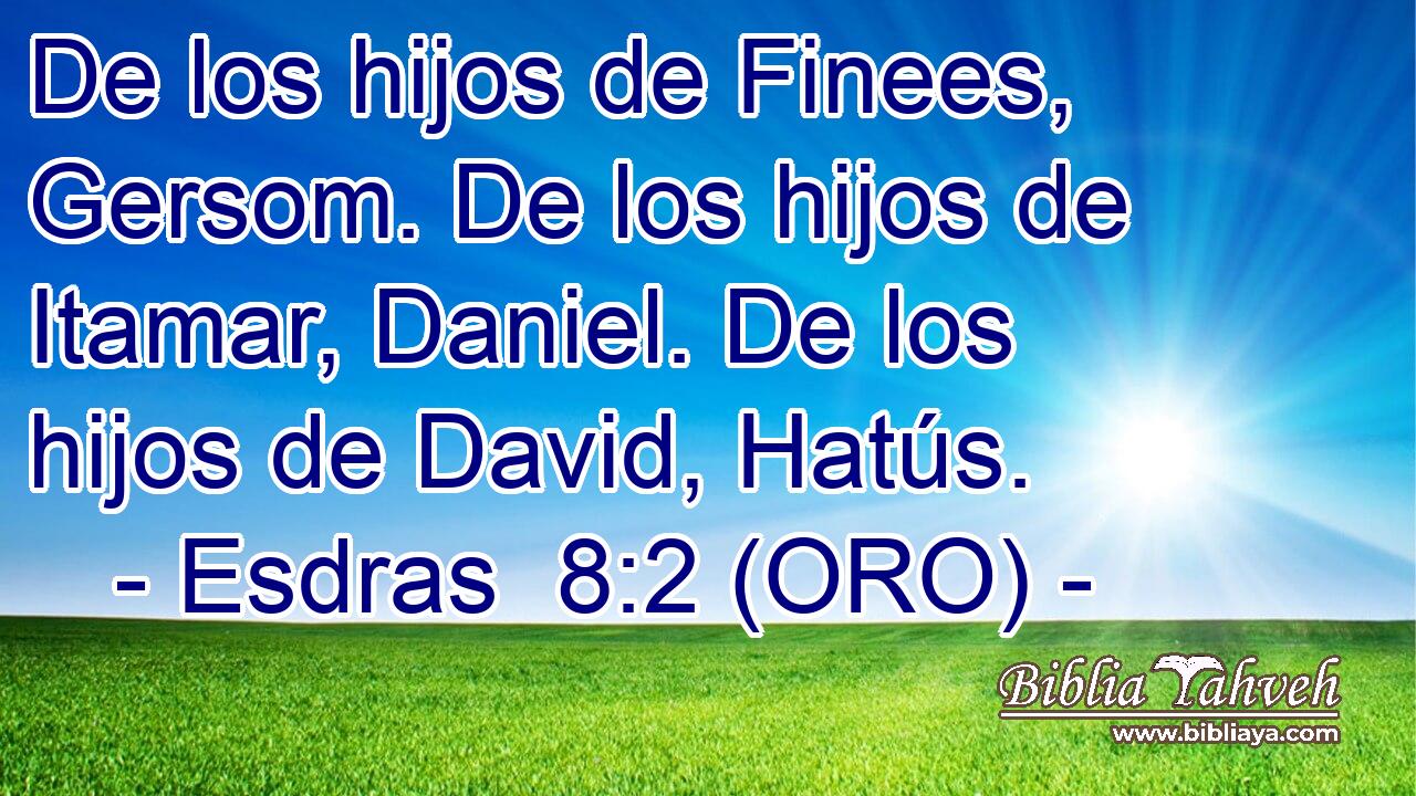  De los hijos de Finees, Gersom. De los hijos de Itamar, Daniel. De los hijos de David, Hatús. 