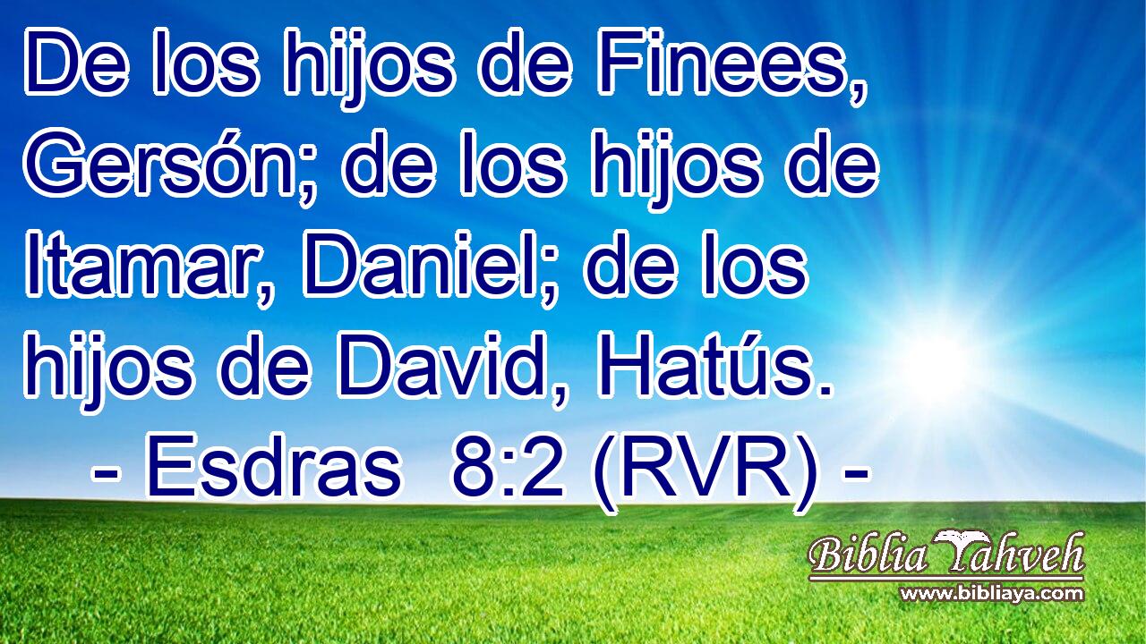 De los hijos de Finees, Gersón; de los hijos de Itamar, Daniel; de los hijos de David, Hatús.