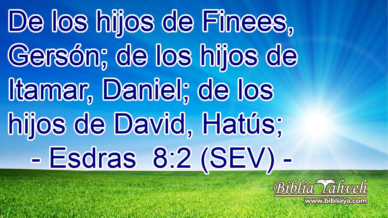 De los hijos de Finees, Gersón; de los hijos de Itamar, Daniel; de los hijos de David, Hatús;