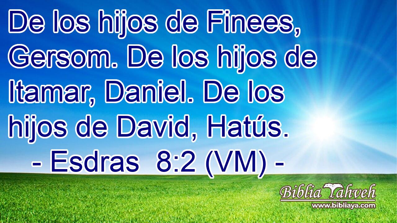  De los hijos de Finees, Gersom. De los hijos de Itamar, Daniel. De los hijos de David, Hatús. 