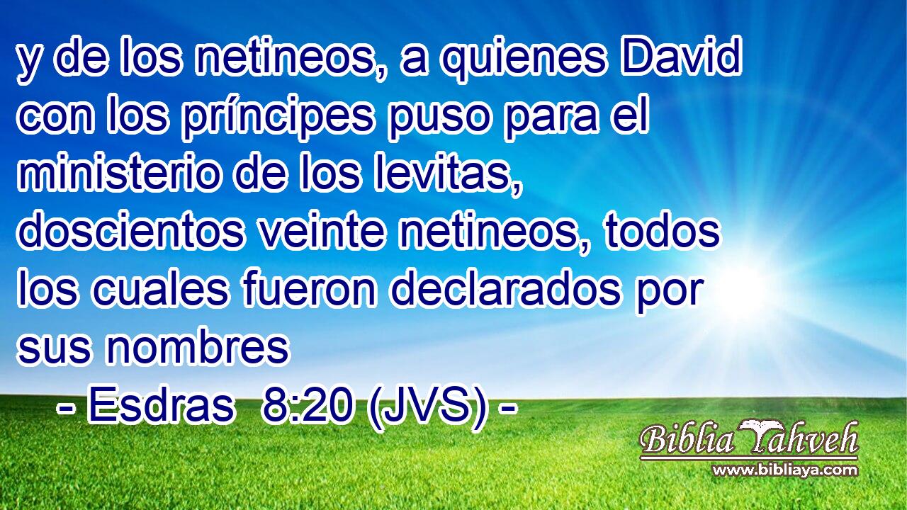 y de los netineos, a quienes David con los príncipes puso para el ministerio de los levitas, doscientos veinte netineos, todos los cuales fueron declarados por sus nombres