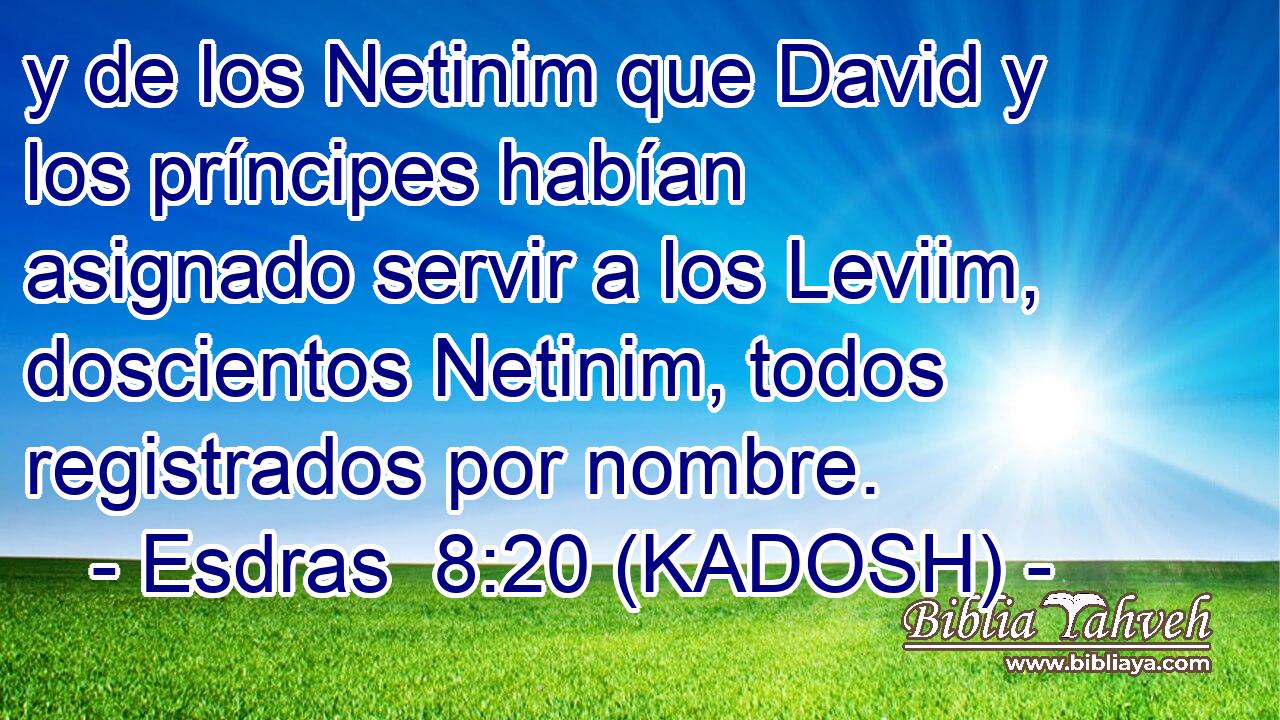  y de los Netinim que David y los príncipes habían asignado servir a los Leviim, doscientos Netinim, todos registrados por nombre. 