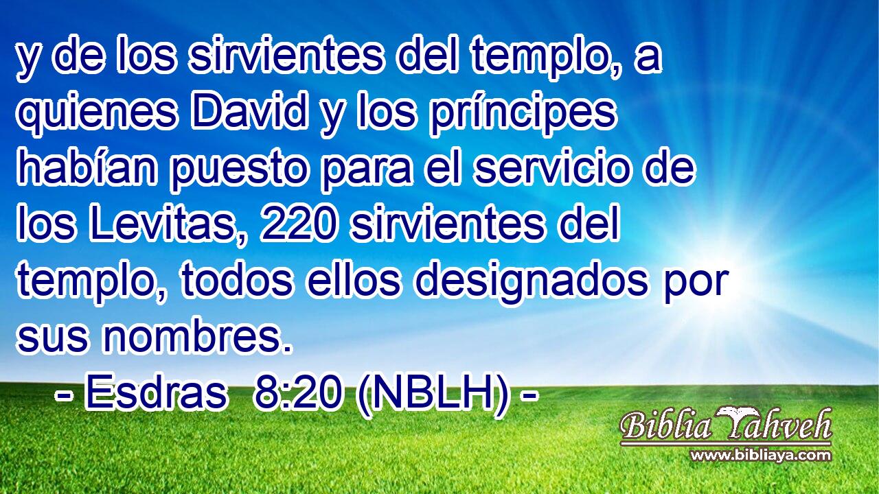  y de los sirvientes del templo, a quienes David y los príncipes habían puesto para el servicio de los Levitas, 220 sirvientes del templo, todos ellos designados por sus nombres. 