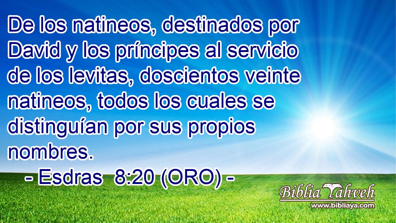  De los natineos, destinados por David y los príncipes al servicio de los levitas, doscientos veinte natineos, todos los cuales se distinguían por sus propios nombres. 