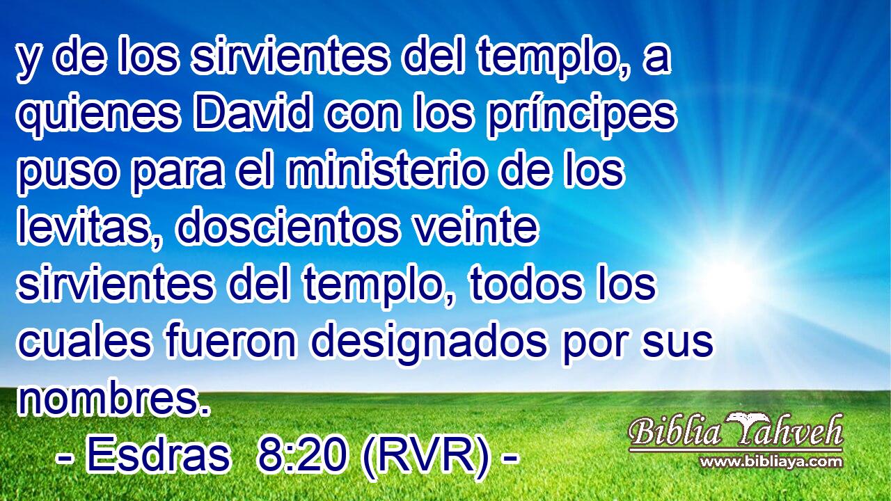 y de los sirvientes del templo, a quienes David con los príncipes puso para el ministerio de los levitas, doscientos veinte sirvientes del templo, todos los cuales fueron designados por sus nombres.