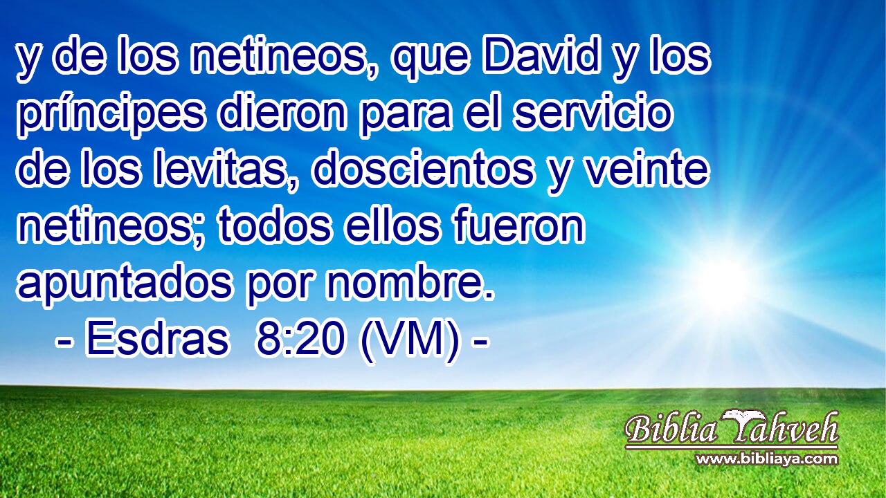  y de los netineos, que David y los príncipes dieron para el servicio de los levitas, doscientos y veinte netineos; todos ellos fueron apuntados por nombre. 