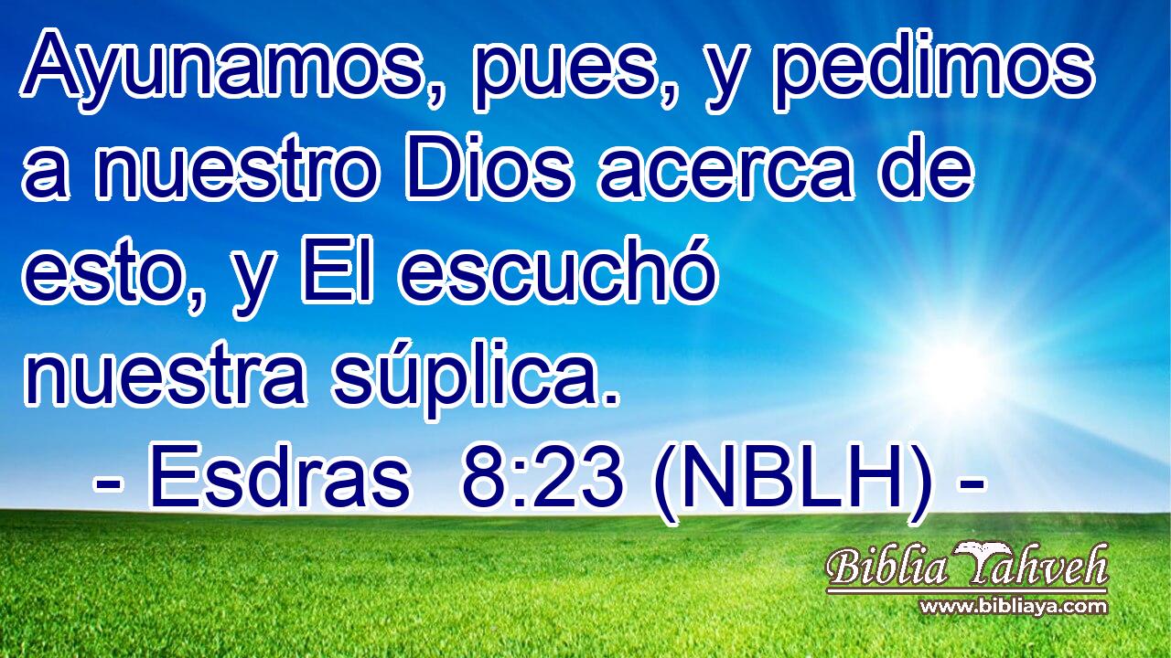  Ayunamos, pues, y pedimos a nuestro Dios acerca de esto, y El escuchó nuestra súplica. 