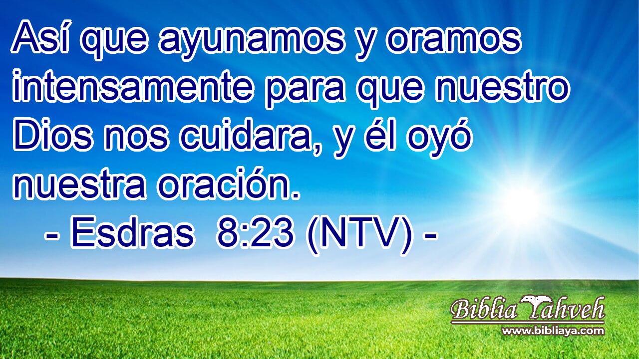 Así que ayunamos y oramos intensamente para que nuestro Dios nos cuidara, y él oyó nuestra oración.