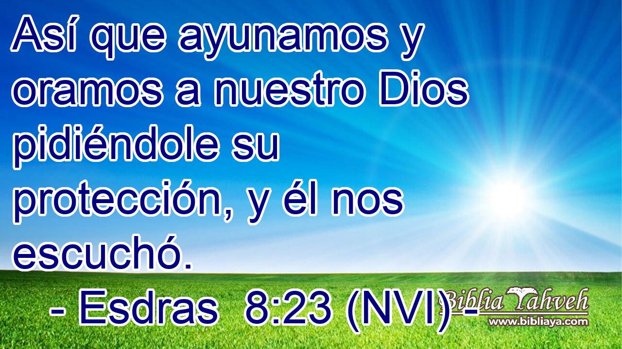  Así que ayunamos y oramos a nuestro Dios pidiéndole su protección, y él nos escuchó. 