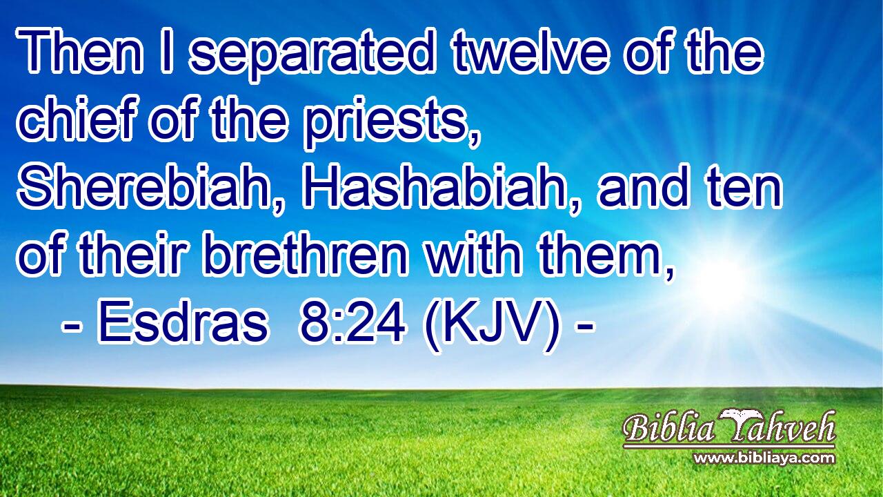 Then I separated twelve of the chief of the priests, Sherebiah, Hashabiah, and ten of their brethren with them,