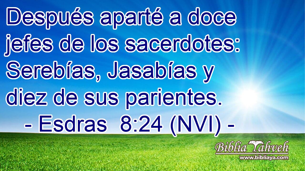  Después aparté a doce jefes de los sacerdotes: Serebías, Jasabías y diez de sus parientes. 