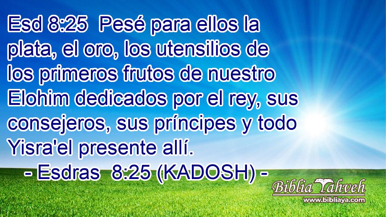  Pesé para ellos la plata, el oro, los utensilios de los primeros frutos de nuestro Elohim dedicados por el rey, sus consejeros, sus príncipes y todo Yisra'el presente allí. 