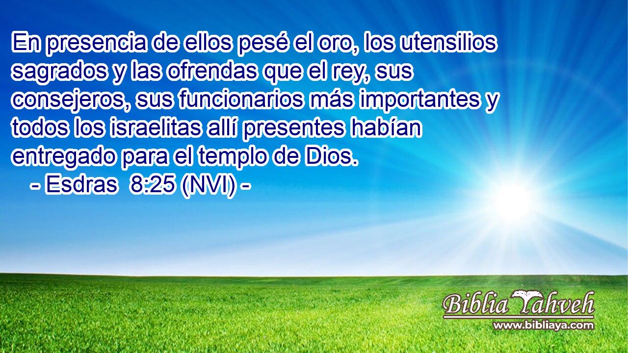  En presencia de ellos pesé el oro, los utensilios sagrados y las ofrendas que el rey, sus consejeros, sus funcionarios más importantes y todos los israelitas allí presentes habían entregado para el templo de Dios. 