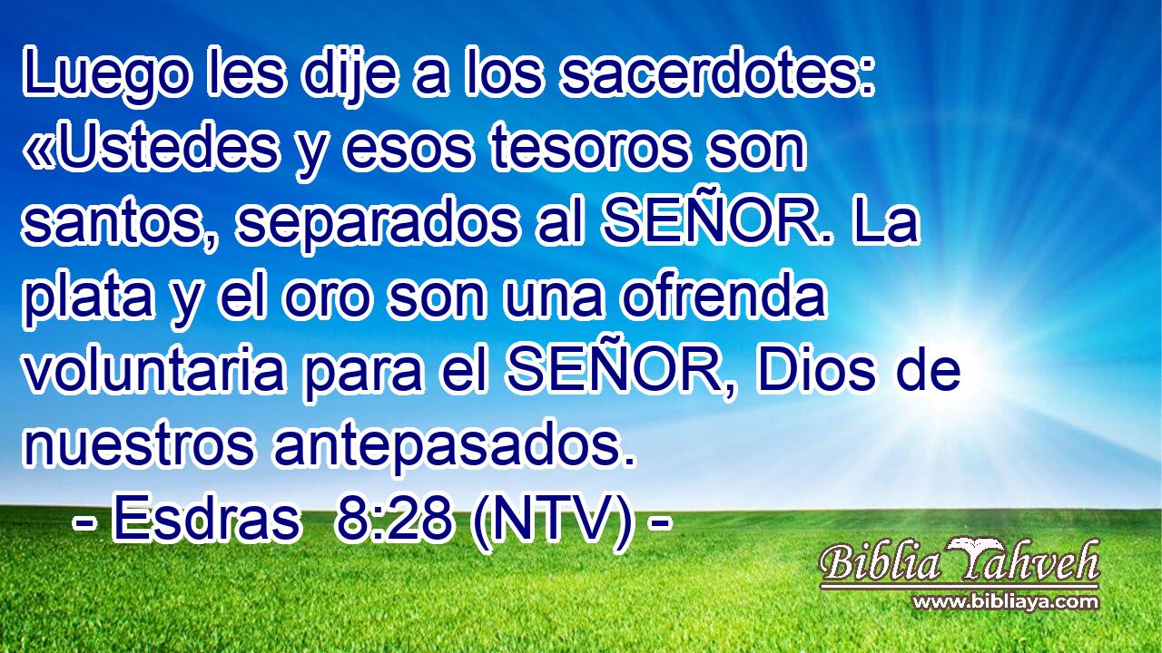 Luego les dije a los sacerdotes: «Ustedes y esos tesoros son santos, separados al SEÑOR. La plata y el oro son una ofrenda voluntaria para el SEÑOR, Dios de nuestros antepasados.
